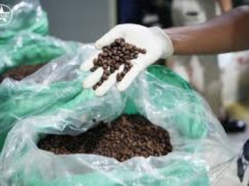 VIỆN ISTAL ĐỒNG HÀNH CÔNG TY VIVATORY QUA NHỮNG KỲ ĐÁNH GIÁ ISO 22000 & HACCP: BƯỚC ĐỘT PHÁ QUẢN TRỊ VÌ TRẢI NGHIỆM KHÁCH HÀNG
